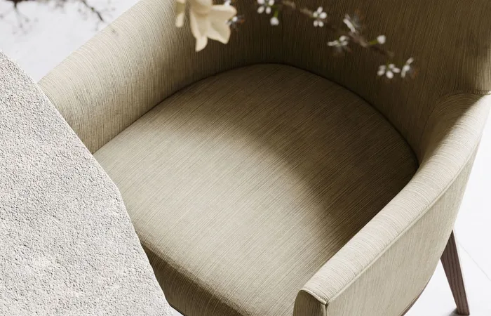 Vianna dining armchair ls1