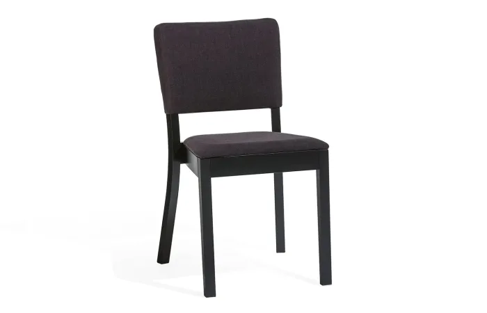 Treviso chair with upholstery 3